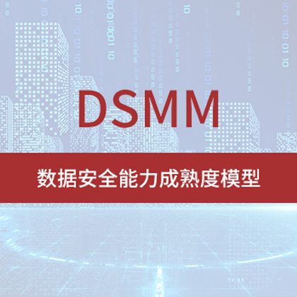 DSMM評估內容和方式是什么？
